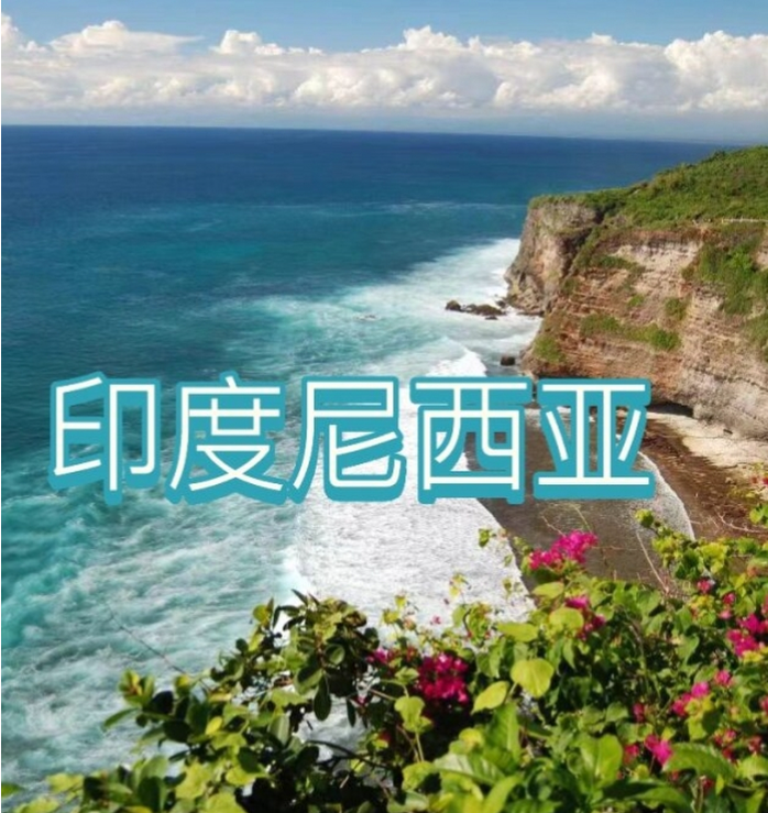 国国际电商(印尼)产业博览会新葡京娱乐场app2025中(图3)