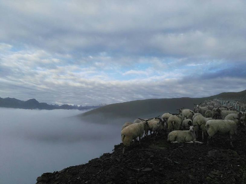 中国】达瓦更扎看云海澳门新葡京网站【大美(图2)